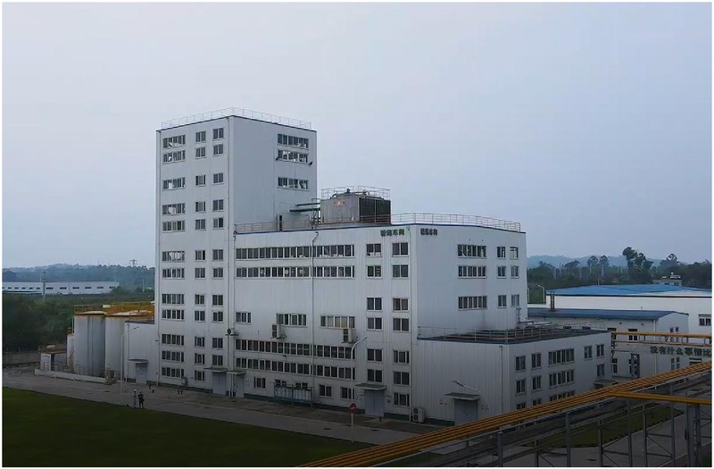 450 TPD Soybean Oil Refinery in China