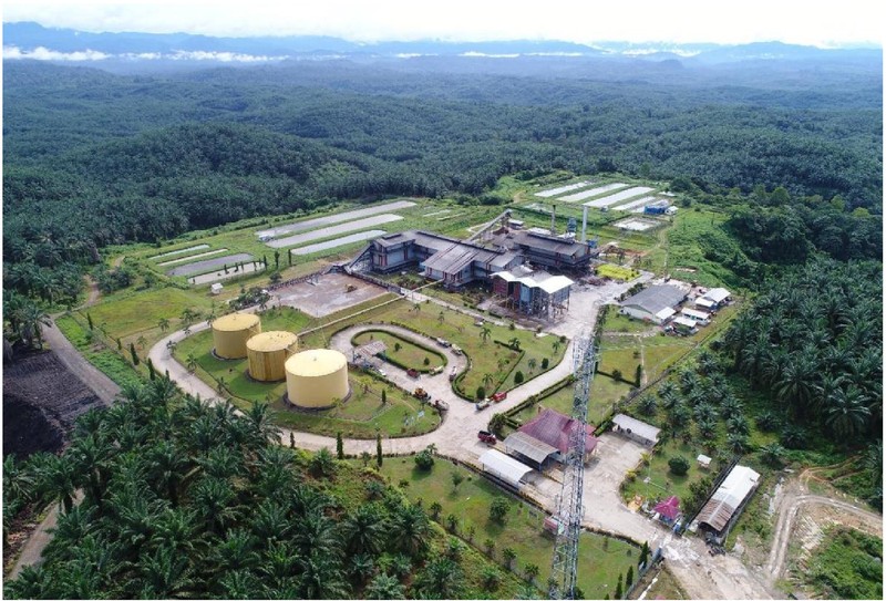 60 TPH Palm Oil Mill in Indonesia
