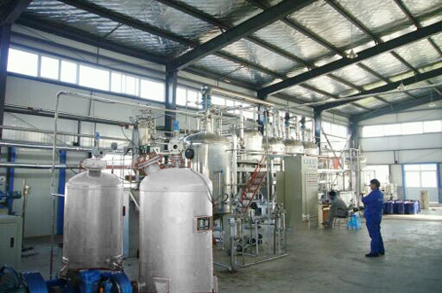 peanut oil plant
